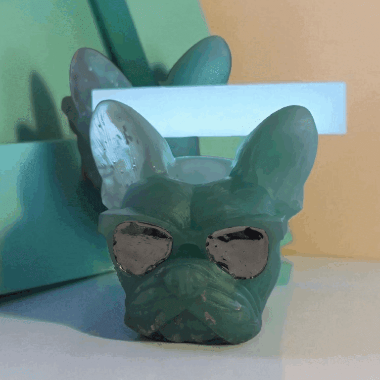 The "Too Cool" Frenchie